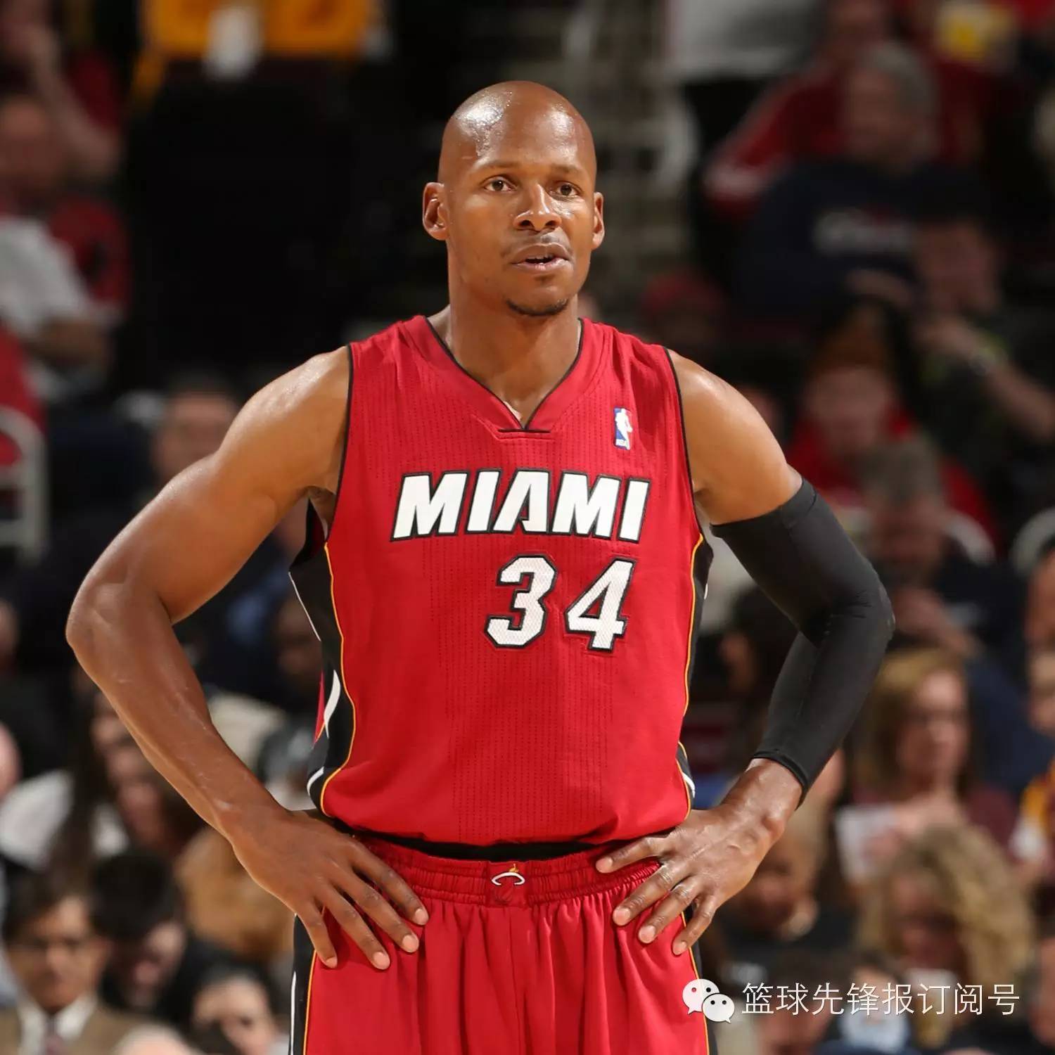 nba球星雷阿倫退役_雷·阿倫 2013-14賽季 退役決定