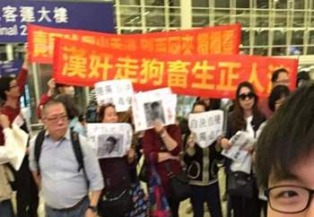 帽子戲法球員排名_世界杯決賽帽子戲法的球員_世俱杯決賽帽子戲法